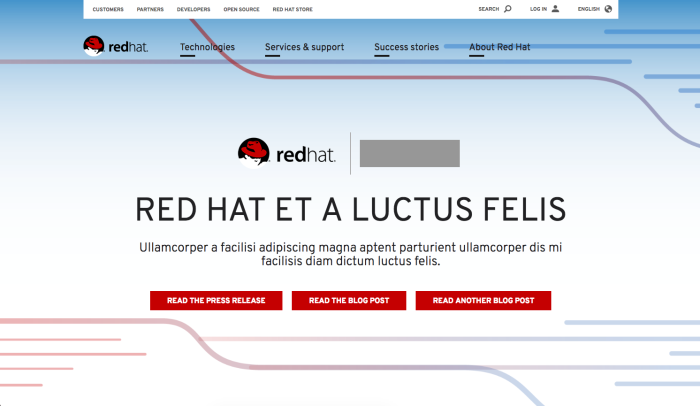 A redhat.com homepage design with placeholder text